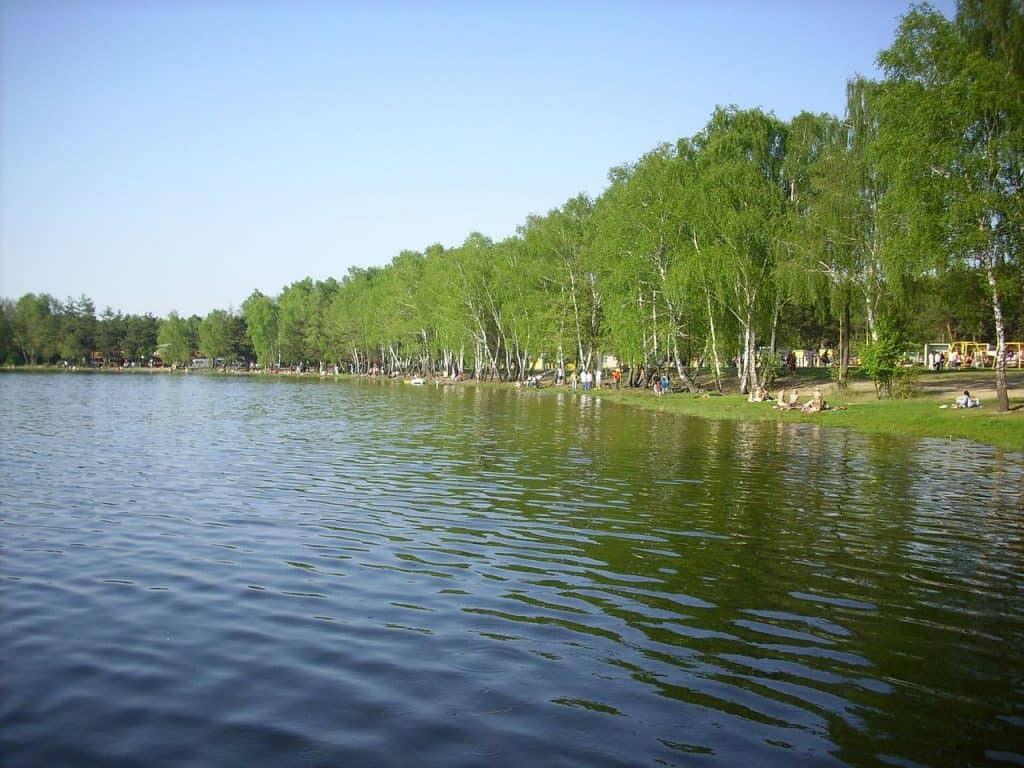 Lake Zagłębocze. Author: Grzegorz W. Tężycki. License license CC BY-SA 4.0