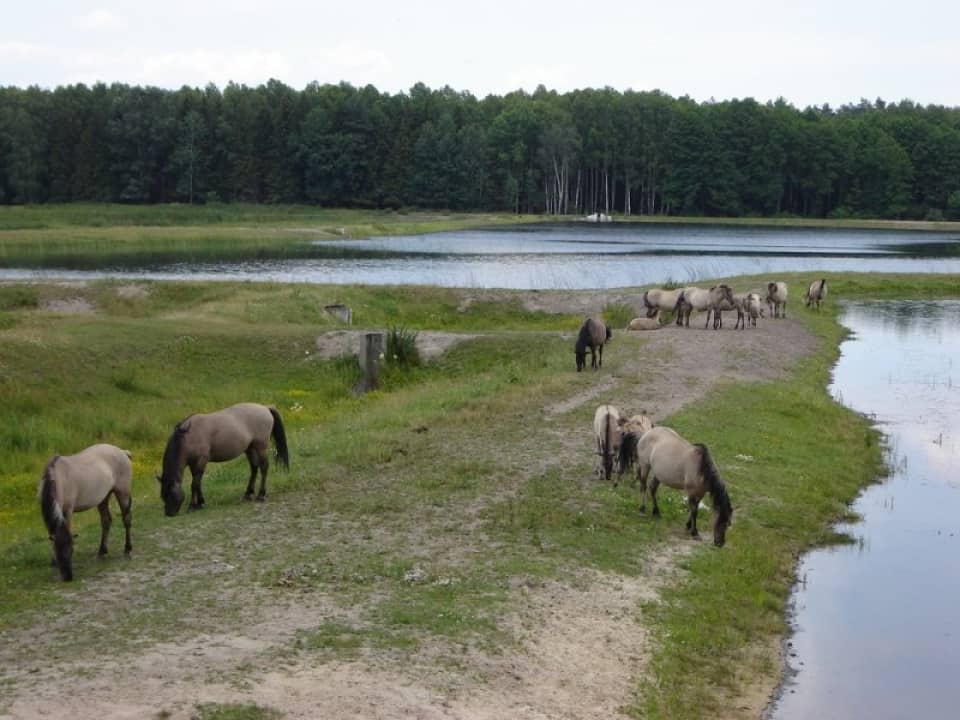 Розточанский национальный парк