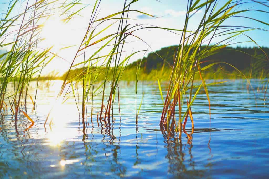 Lake Rotcze - Grabniak 