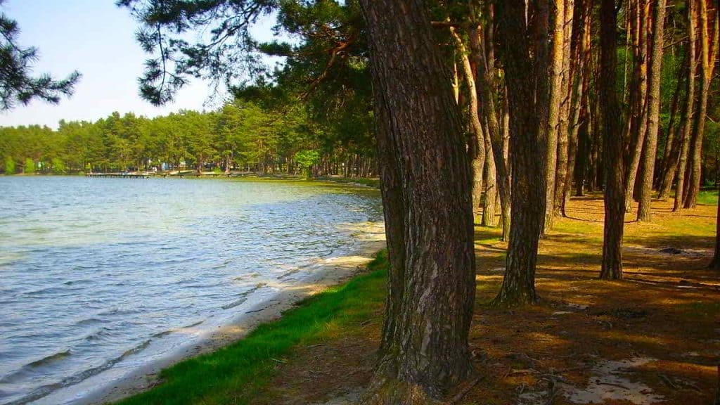 Lake Białka. Fig. Grzegorz W. Tężycki, license CC-BY 4.0
