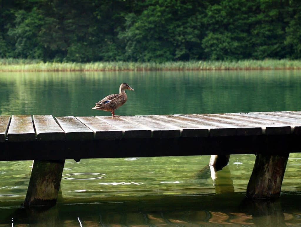 Lampackie Lake