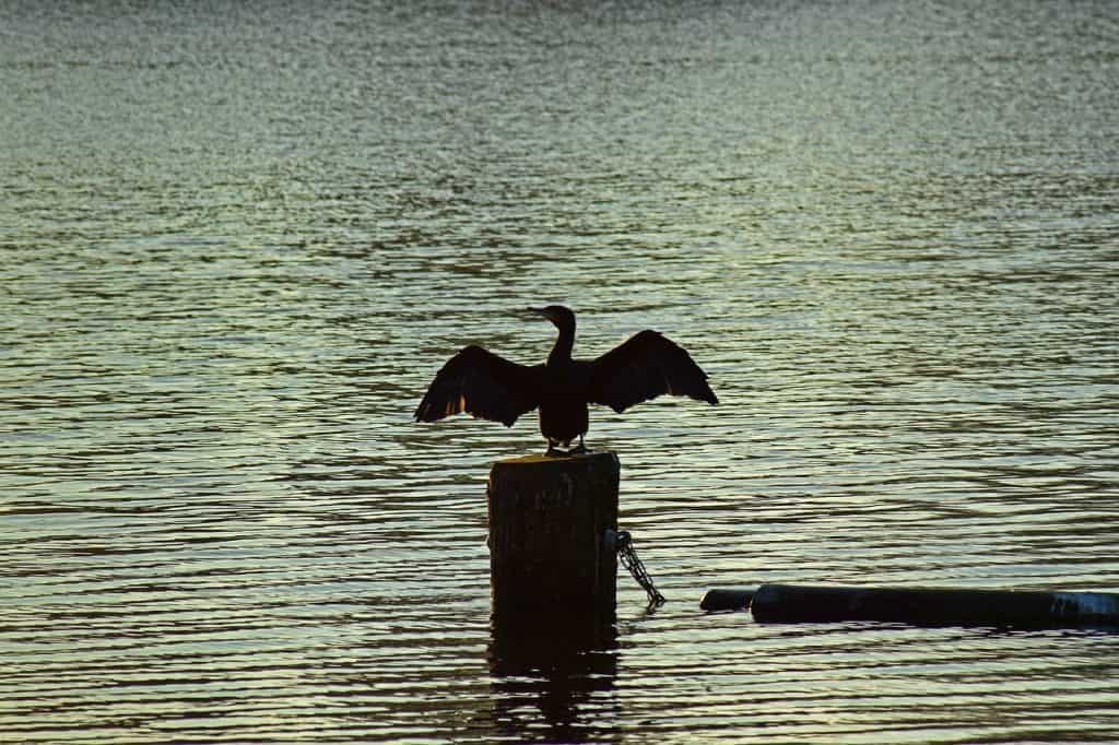 Lake Rańskie