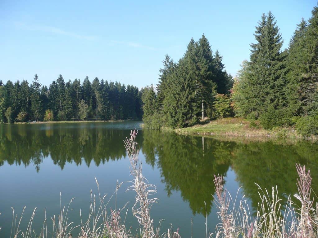 Gołdapiwo ežeras