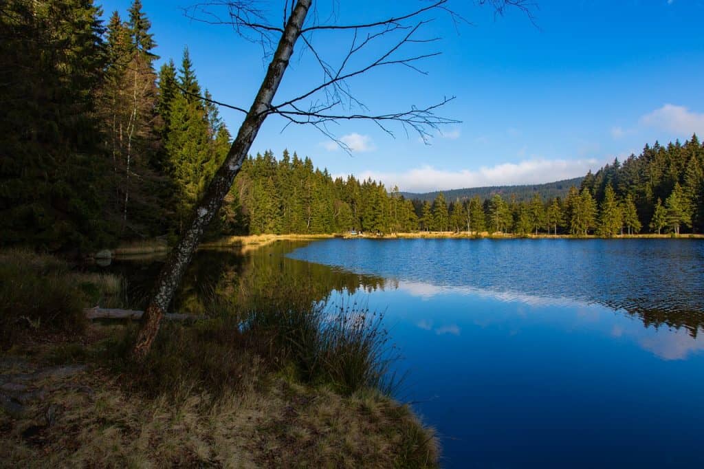 Lake Zyzdrój Wielki