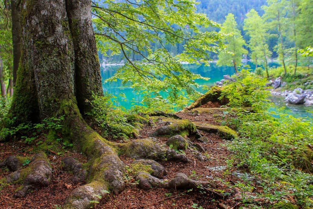 Weekend we dwoje nad romantycznym jeziorem