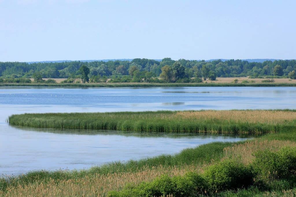 Siemianówka Reservoir in Podlasie